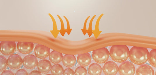 AgeBiome: Why Your Skin’s Junction & Your Hair Root Work as One System