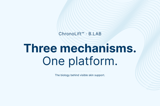 What visible skin firmness is actually built on. A biological explanation of the three mechanisms behind the ChronoLift™ platform.
